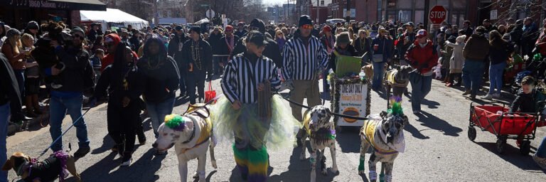 mardi gras 2025 st louis