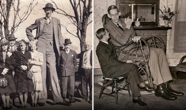 robert wadlow died
